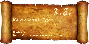 Kapronczai Egon névjegykártya